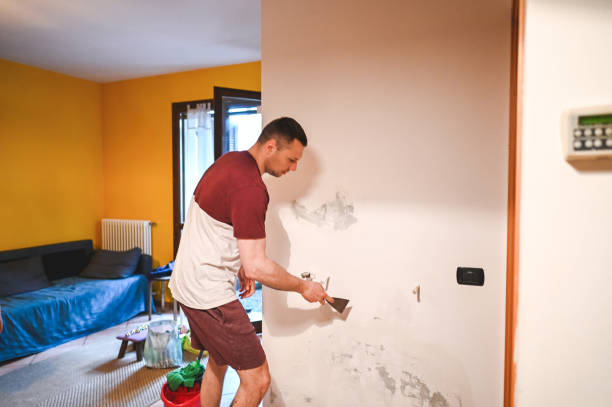 Best Mold Testing and Inspection Services in Maywood, NJ